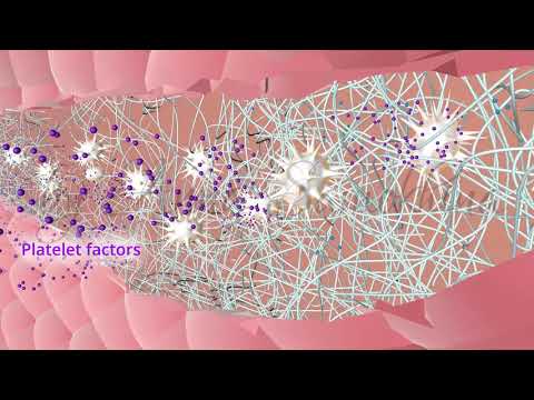 Свертывающая и антисвертывающая система крови