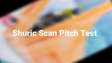 Shuric Scan Pitch Test