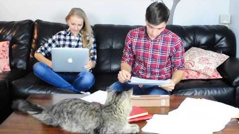 Roomba Pi - CS50 Final project