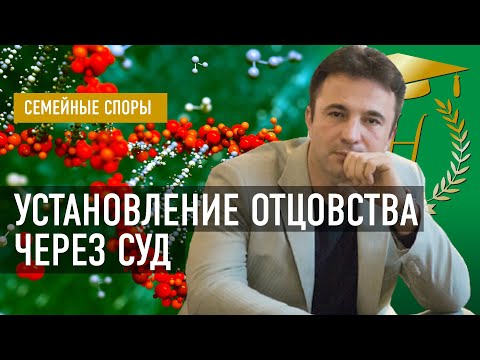 Установление отцовства через суд