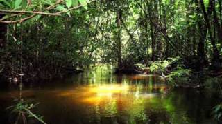 Video thumbnail of "UAKTI - Madeira River"