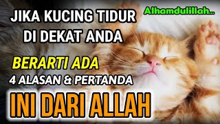 INILAH 4 PERTANDA DARI ALLAH !! ARTI KUCING SUKA TIDUR DI DEKAT KITA, BERSYUKURLAH...