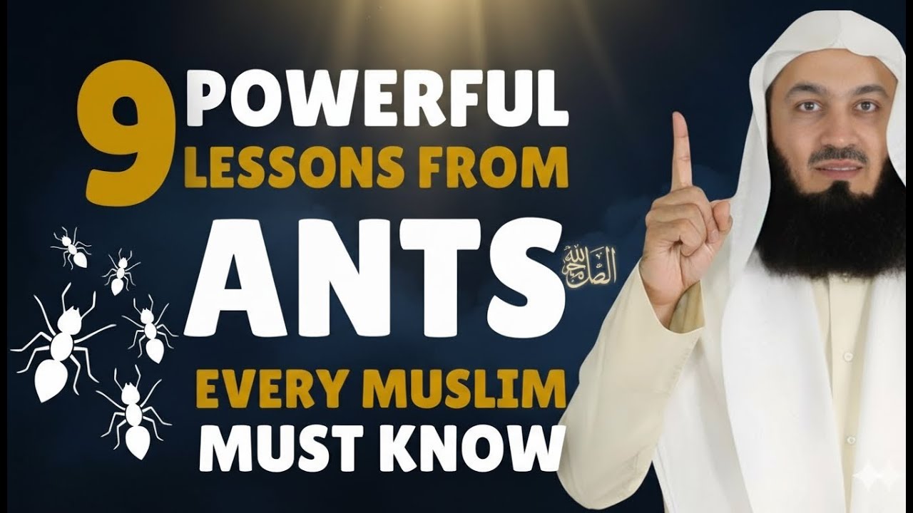 9 Powerful Lessons from Ants Every Muslim Must Know | Islamic Reminder | Motivation