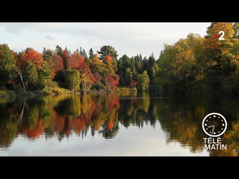 Vidéo: Quand le lac Érié a-t-il été pollué ?