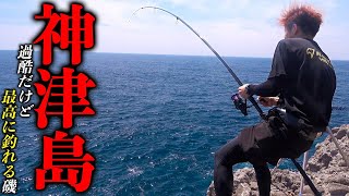 神津島ビッグゲーム開始竿をしならす、最初の魚の正体は【神津島遠征#2】