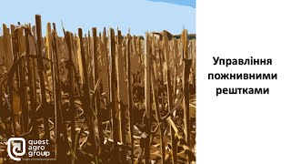 картинка: Управління пожнивними рештками