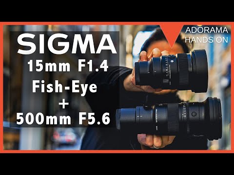 SIGMA 500mm f5.6 DG DN OS S and 15mm f1.4 DG DN Diagonal Fisheye Lenses | Testing and Reflecting
