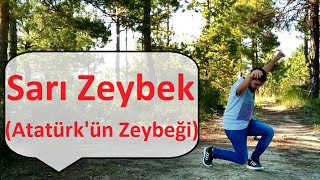 Mehmet Çıkrıkcı - Sarı Zeybek (Atatürkün Oynadığı Zeybek) Resimi