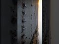 Aircraft of ||Airforce|| I am a Pilot and wants to be,,, motivation status ||4k||