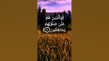 سورة المؤمنون الآية ٧ الى ١١ بصوت الشيخ محمد صديق المنشاوي