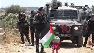 Story' WA 30 detik sedih Palestina