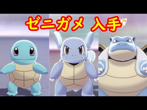 ソードシールド カメールの種族値 わざ 特性など能力と入手方法 ポケモン剣盾 攻略大百科