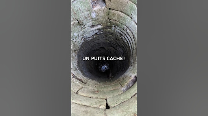 On a découvert un PUITS CACHÉ dans les bambous 😱