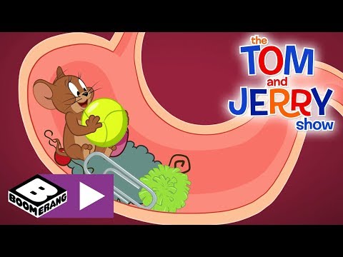 The Tom and Jerry Show | Tom, Jerry And The Ball | Boomerang UK 🇬🇧