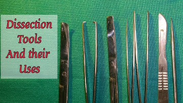 Dissection Tools Explained with functions Anatomy MBBS