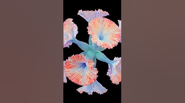 #3d Blooming🌺 #blender #blender3d #블렌더 #3d #3dart #geometrynodes #flowers #blooming #3danimation