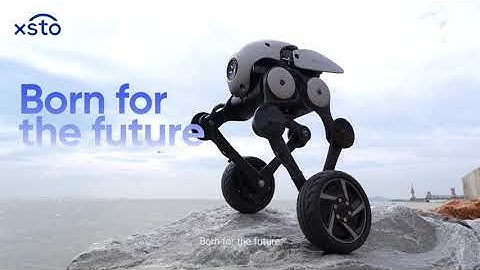 XSTO A6 Wheeled Biped Robot — AI-Balanced & All-Terrain!