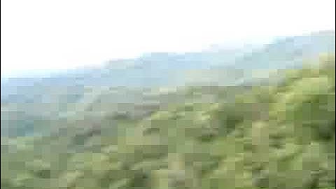 Lao Treehouse Zipline