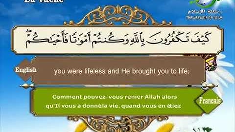 سورة البقرة كاملة بصوت الشيخ مصطفى اللاهوني