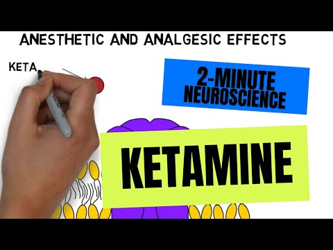 2-Minute Neuroscience: Ketamine