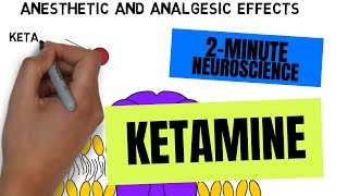 2-Minute Neuroscience: Ketamine by Neuroscientifically Challenged 186,859 views 2 years ago 2 minutes
