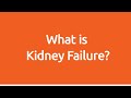 Living well with kidney failure part 1 what is kidney failure