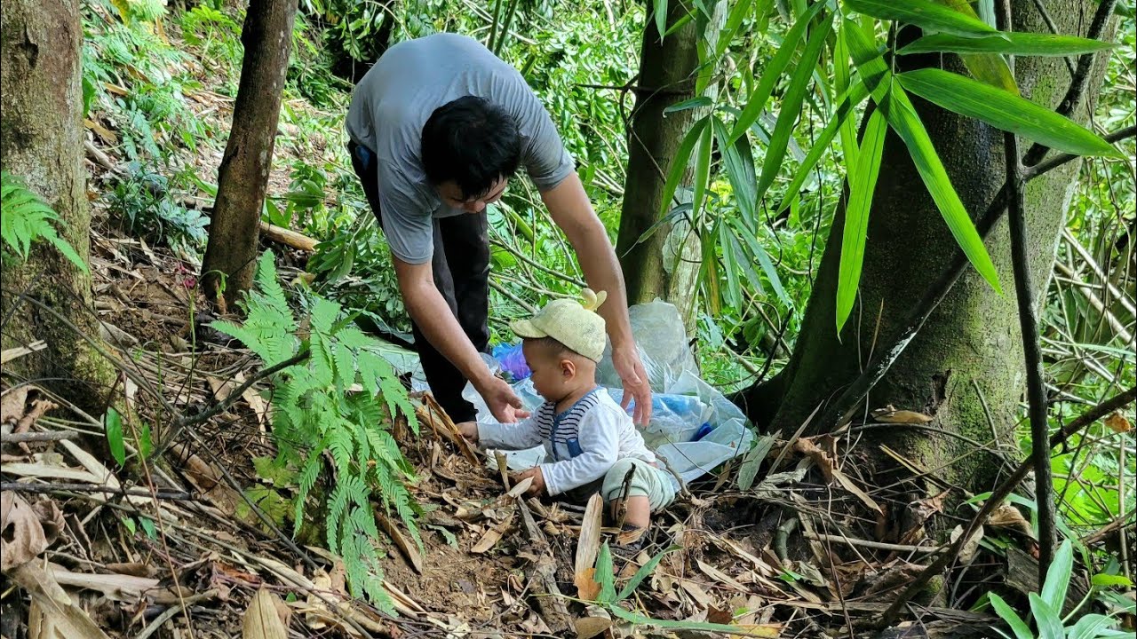 Single father picks wild fruits - sells at market | Nông Thôn
