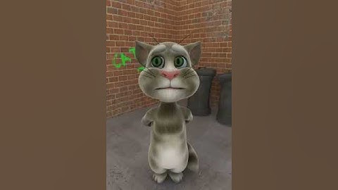 vlc record 2011 06 17 15h01m59s TalkingTom mp4