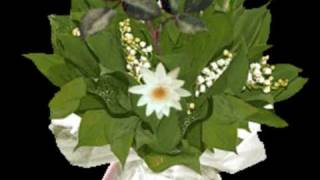 Gulu Susuz Seni Asksiz Birakmam.wmv