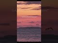 New video by One Music Network on YouTube