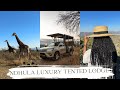 Vlog Game Drive Safari Exploring Likweti Bushveld Farm Estate Dinner Vlog Safari Travel Vlog Game Drive Safari Exploring Likweti Bushveld Farm Estate Dinner Vlog Safari Travel