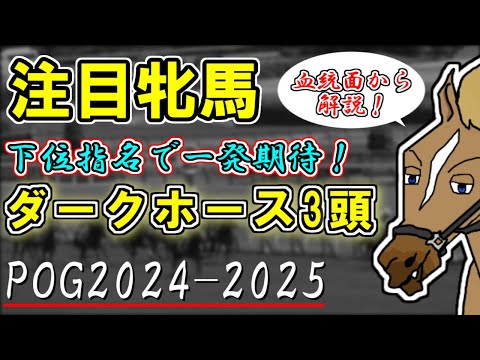 【POG2024-2025/注目牝馬】桜花賞3着馬と似た配合のキズナ産駒がノースヒルズに！？一発期待のダークホース3頭を紹介！【バーチャルサラブレッド・リュウタロウ】