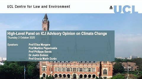 High-Level Panel on ICJ Advisory Opinion on Climate Change