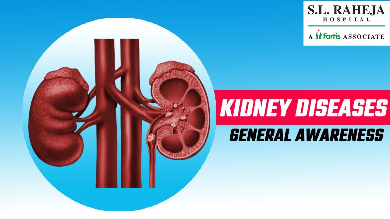 Kidney Disease How Do You Explain Kidney Disease? What are the first signs of kidney disease