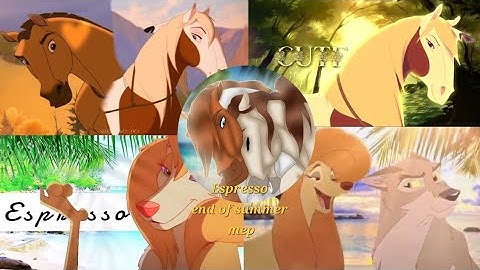 Espresso | end of summer full mep