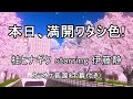 【カラオケ音源】本日、満開ワタシ色! / 桂ヒナギク starring 伊藤静(アニメ「ハヤテのごとく!!」イメージソング)