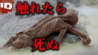 ミイラの呪い【怪事件ファイル】【見たら最後―後戻り不可】