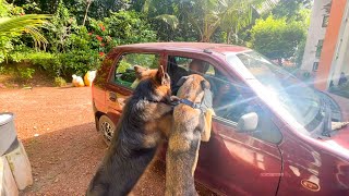 ആശുപത്രിയിൽ 5 ദിവസം...അച്ഛൻ തിരിച്ചു വന്നു ❤| LeoLaika|Chottuz