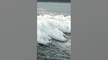 Understanding the Phenomenon of Tides: Gravitational Forces at Play  | SGK English