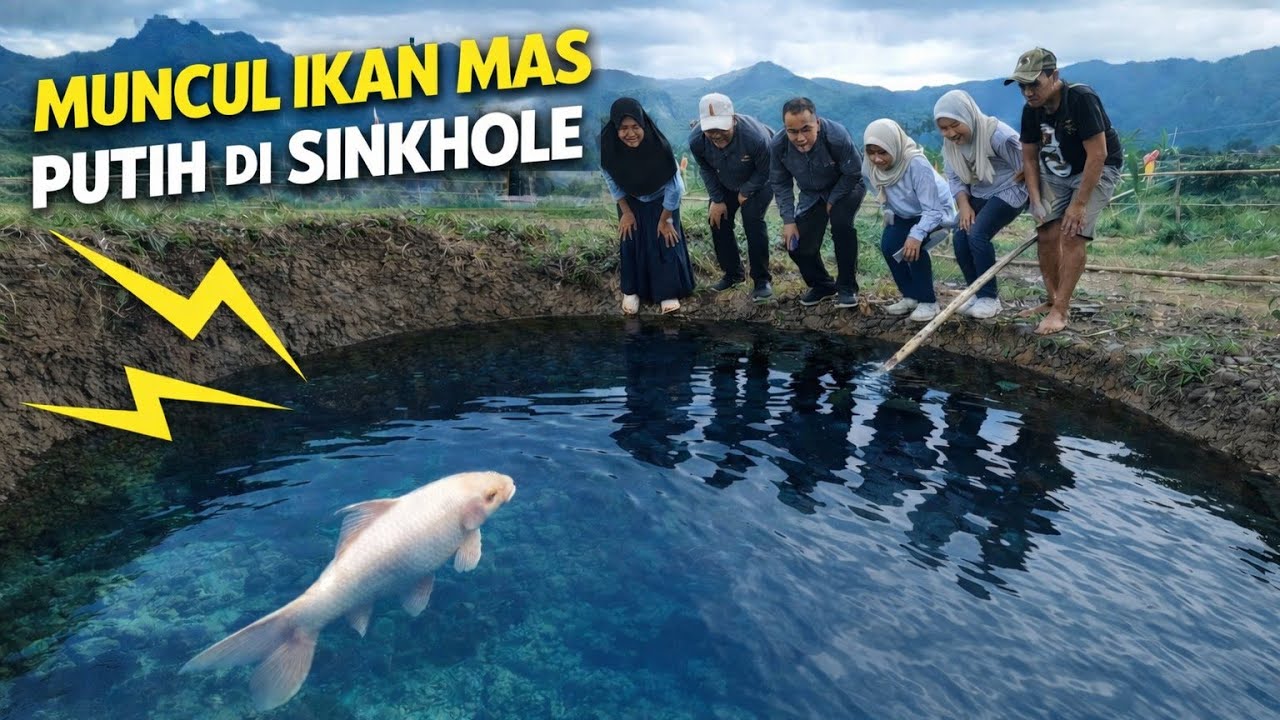 Sinkhole‼️Jorong Tepi Kecamatan Situjuah Batua Limo Nagari Kabupaten 50 Kota Sumatera Barat