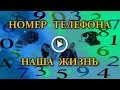 Номер телефона. Что зависит от номера телефона в нашей жизни.