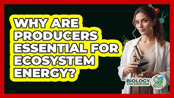 Why Are Producers Essential For Ecosystem Energy?