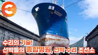 제한된 시간 안에 끝내야 하는 거대한 선박들의 대수술🛳 바다 위 선박 종합병원🏥 ‘수리 조선소'