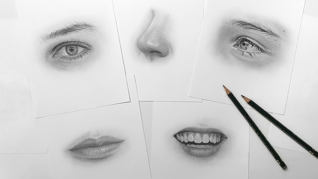 Learn How to Draw: Features of the Face