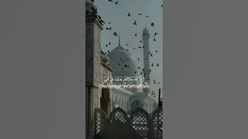 ‏‎#القرآن_الكريم ‎#يوم_الجمعة ‎#ليلة_الجمعة ‎#سورة_الكهف ‎#الصلاة_على_النبي ‎#الدعاء ‎#ياسر_الدوسري‎