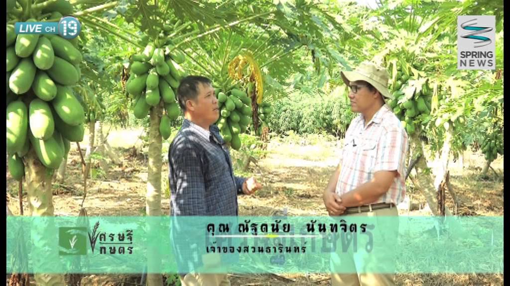 เศรษฐีเกษตร 21/12/57 : 