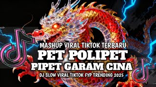Download Lagu DJ PET POLIPET PIPET GARAM CINA SLOWVIRAL TIKTOK TERBARU MP3