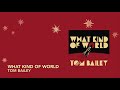 Tom Bailey - What Kind Of World [Pack-Shot Video]