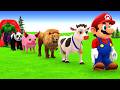 Long Slide Game With Elephant Gorilla Buffalo Hippopotamus Tiger - 3d Animal Game - Funny 3d Animals