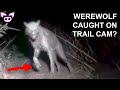 Most Viewers Are Too Scared to Watch This!